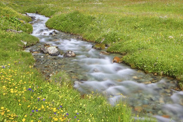 Stream in Buedner Alps