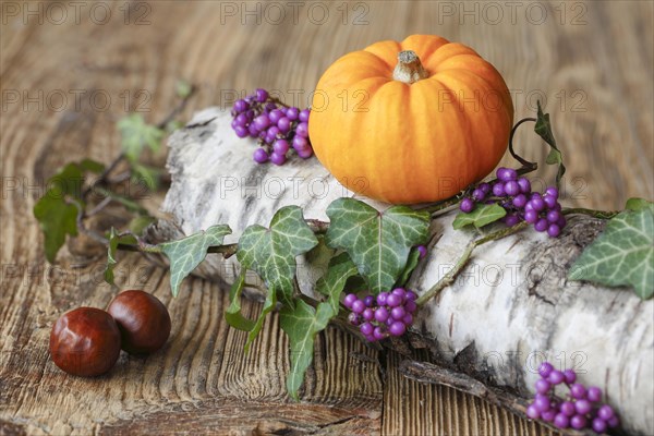 Autumnal decoration