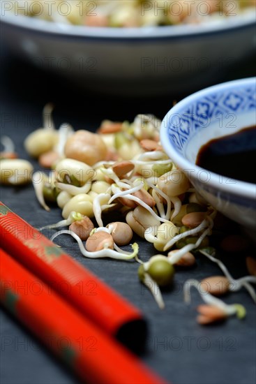 Mixed sprouts of lentils