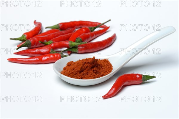 Chili powder in porcelain spoon