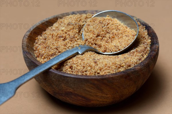 Coconut blossom sugar in shell