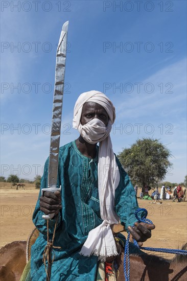 Horse rider with a sword