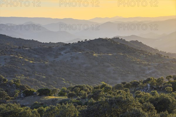 Typical landscape in the Sierra de Andujar National Park