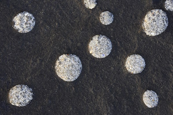 Stone Detail