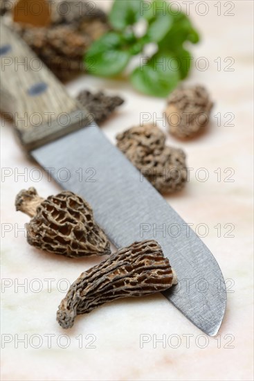 Dried morels