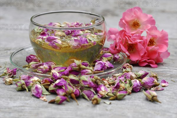 Rose tea in cup and rose buds