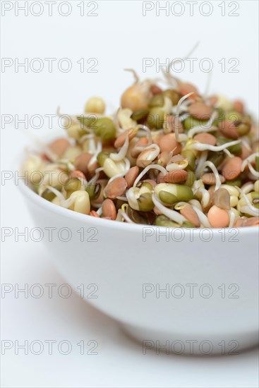 Mixed sprouts of lentils