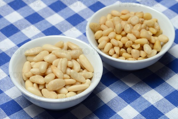 Cedar and pine nuts