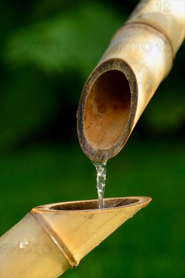 Japanese bamboo fountain