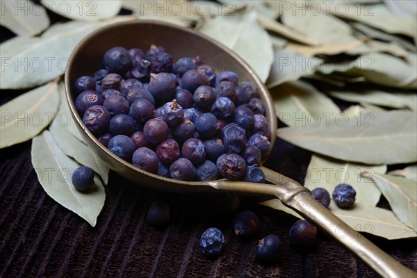 Dried juniper berries