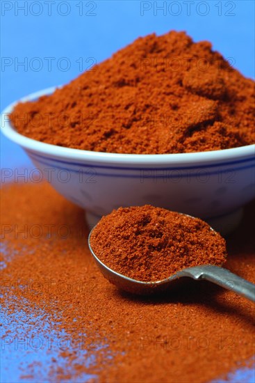 Paprika powder in spoon