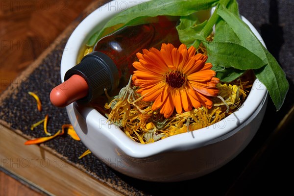 Marigoldstincture and blossoms