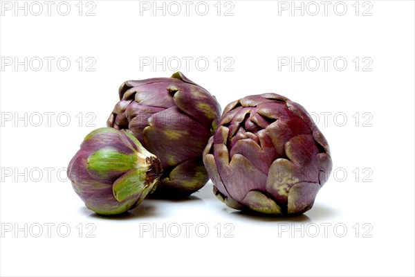 Globe Artichoke