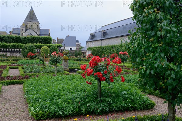 Vegetable garden of Villandry Castle