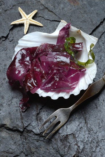 Red alga with sea salt in mussel shell and fork