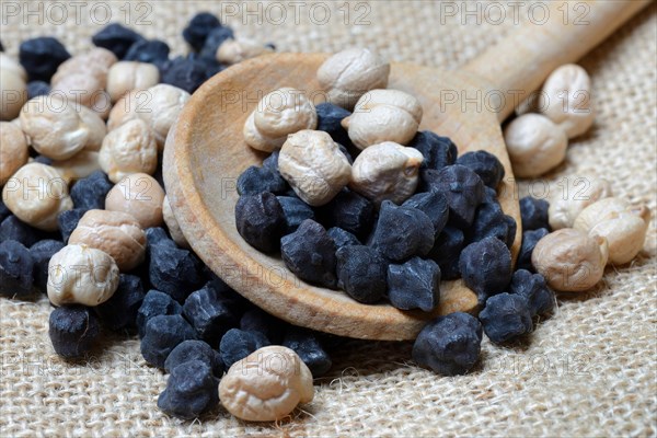 Black and white chick peas in cooking spoon