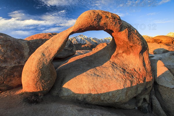 Mobius Arch