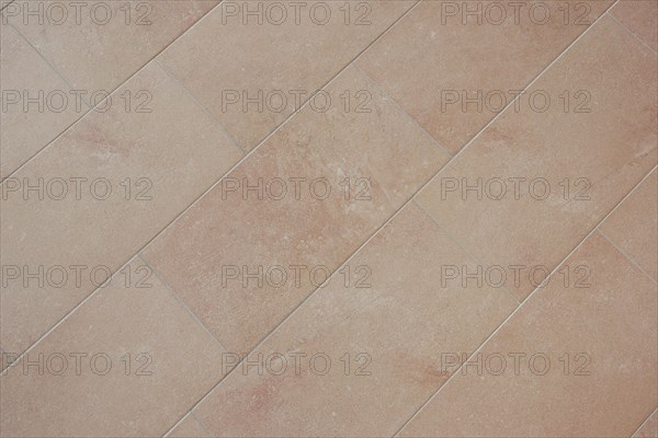 Flagstone floor