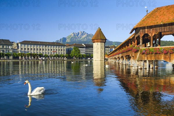 Chapel Bridge with Pilatus