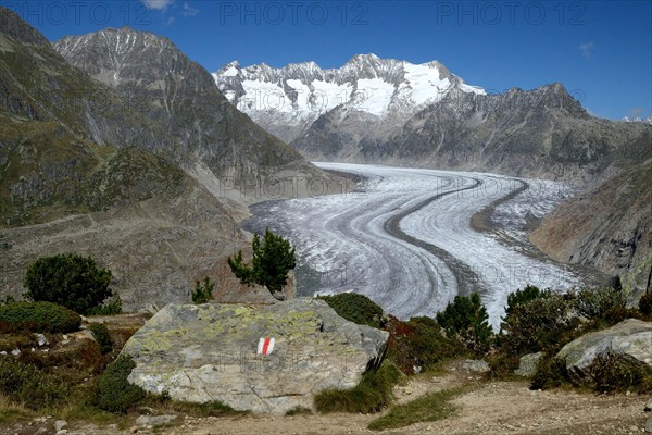 Aletsch Glacier