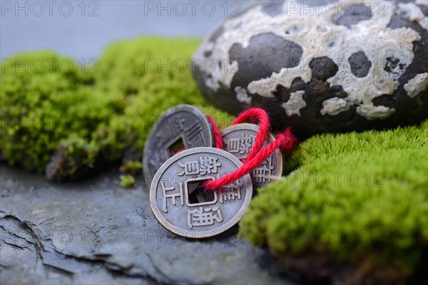 Chinese lucky coins with moss and stone