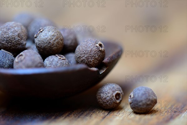 Allspice