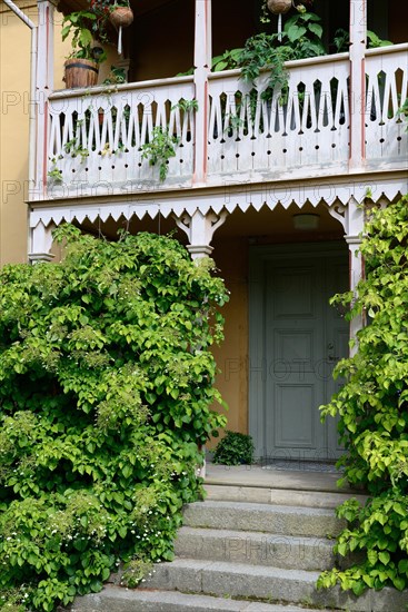 Climbing hoards in front of a wooden veranda