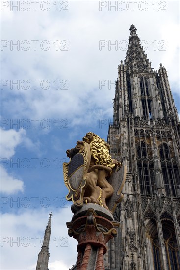 Loewenbrunnen in front of Ulmer Muenster