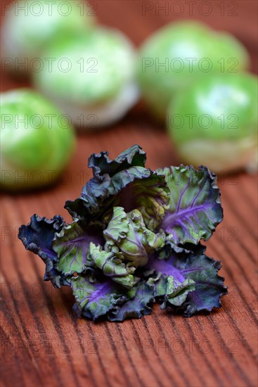 Flower Sprouts and Brussels sprouts