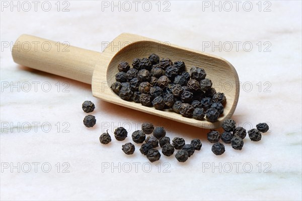 Tellicherry pepper