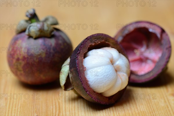 Crimson mangosteen