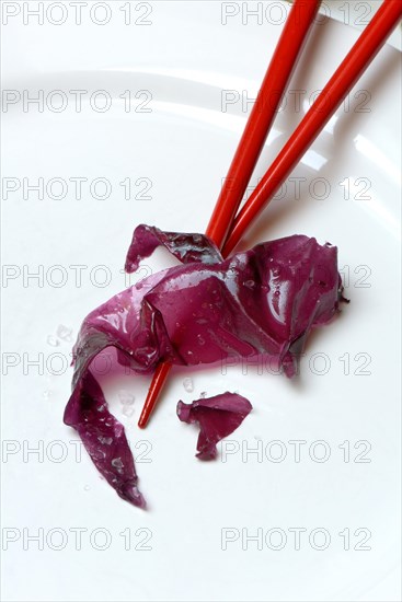 Red algae with sea salt and chopsticks