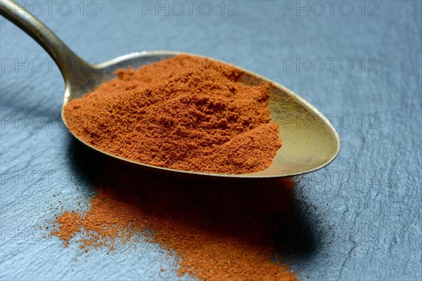 Paprika powder in spoon