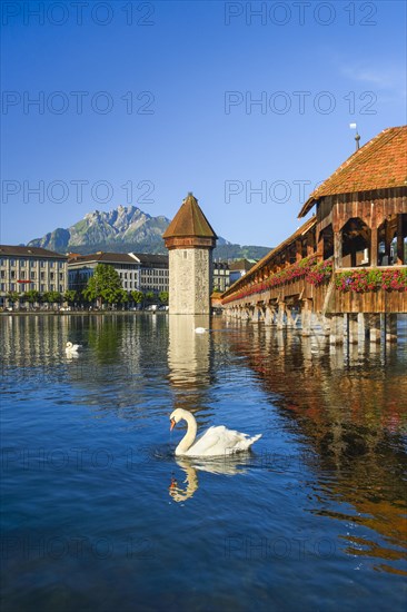 Chapel Bridge with Pilatus