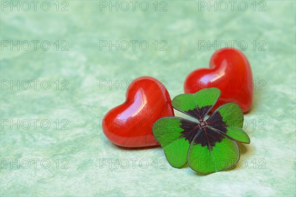 Lucky Clover and red hearts