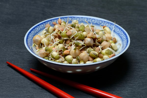 Mixed sprouts of lentils