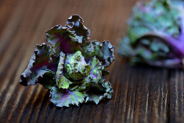 Flower Sprouts