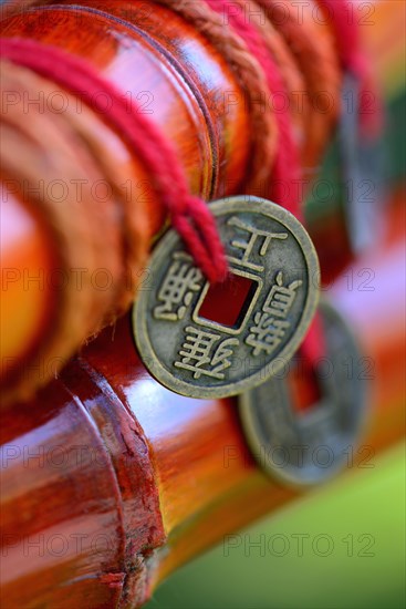 Chinese lucky coins on bamboo