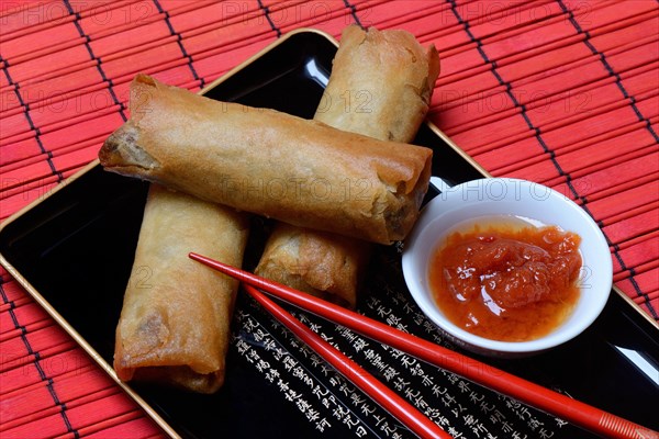 Spring roll and bowl with sauce