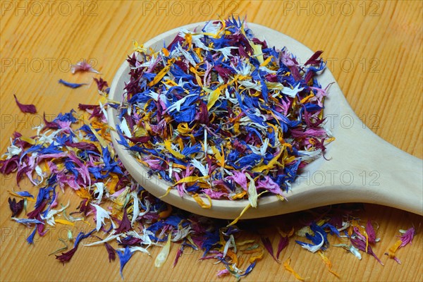 Blue leaf in wooden spoon