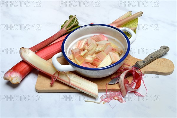 Rhubarb and rhubarb pieces in shell