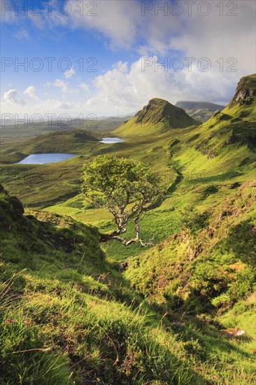 Trotternish