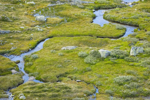 Watercourse at the Grimsel Pass