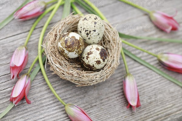 Natural Easter Decoration