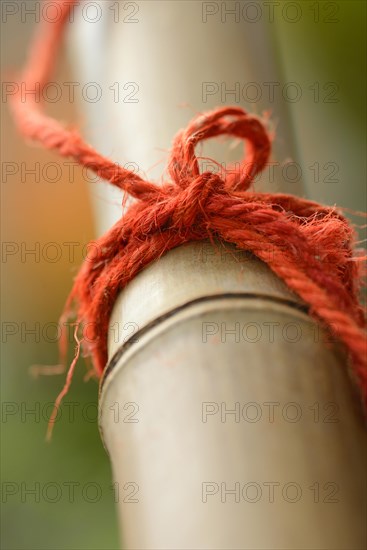 Red cord on bamboo cane