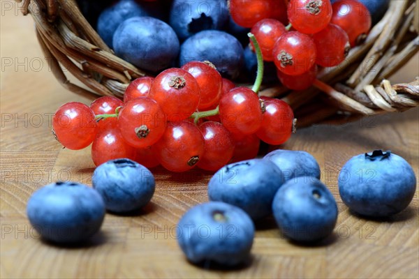 Currants and blueberries in basket