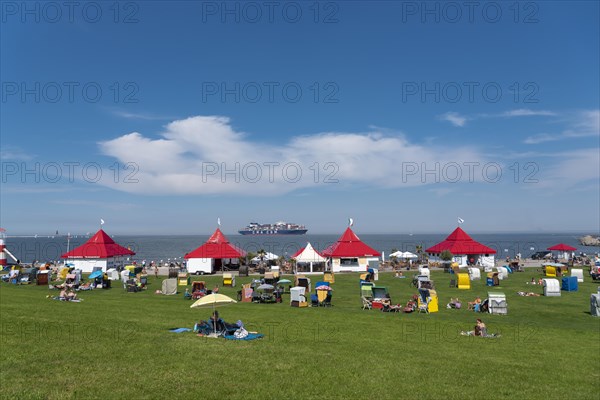 Green beach with beach chairs