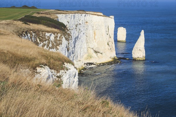 Jurassic Coast