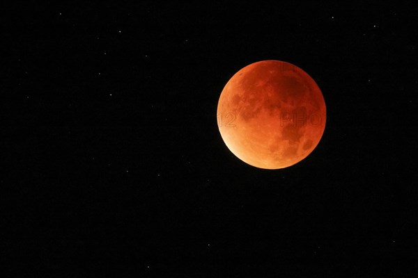 Blood Moon