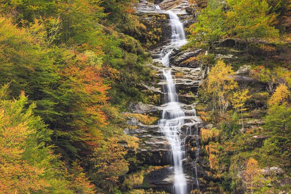 Maggia Valley